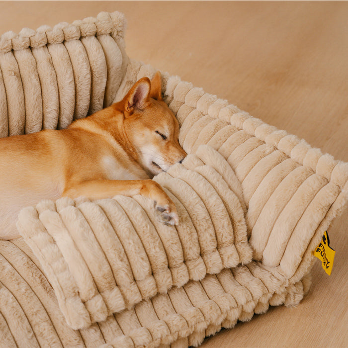 Pet Sofa