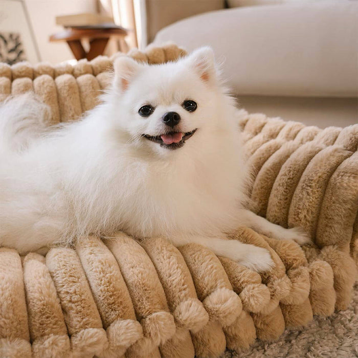 Pet Sofa